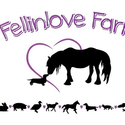 Fellinlove Farm