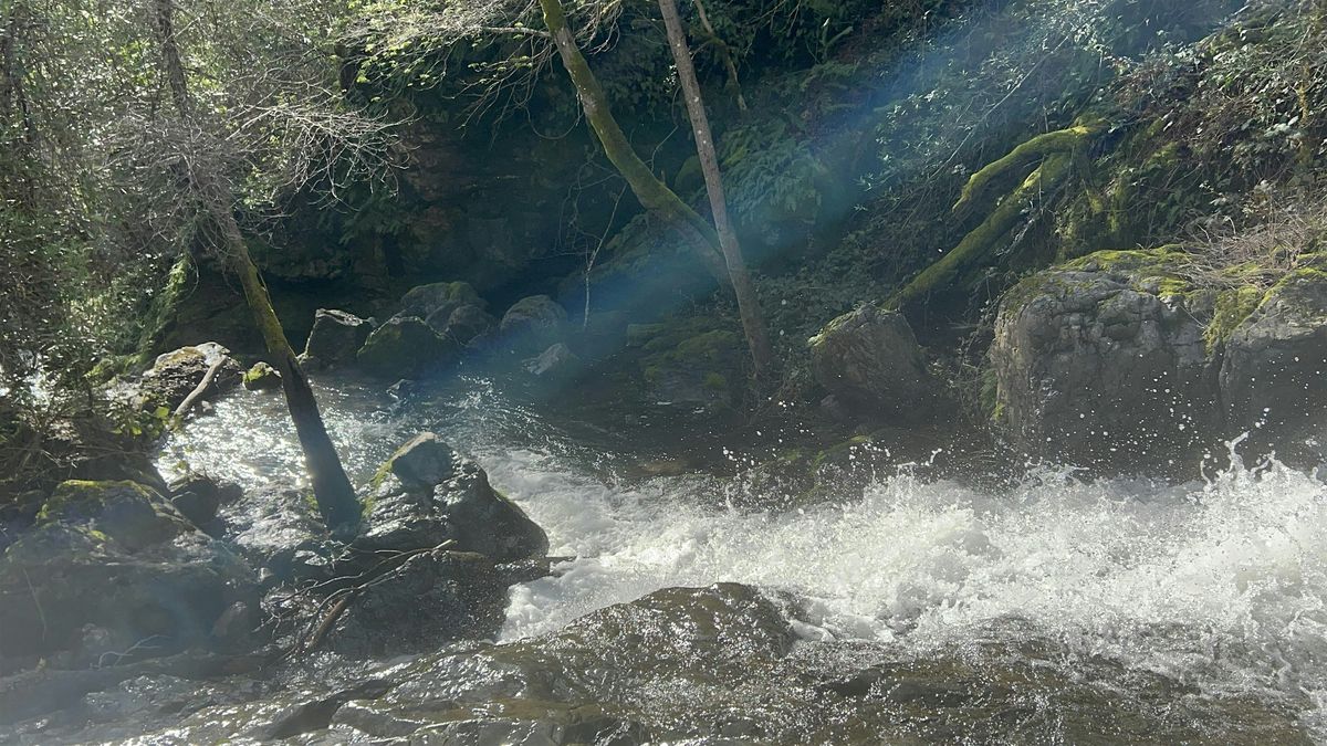 Renewal Ceremony: A Breathwork & Energy Activation Experience