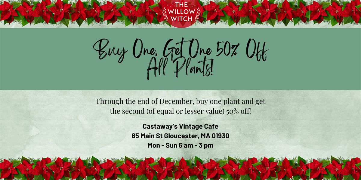 Holiday Plant Sale: BOGO 50% Off!