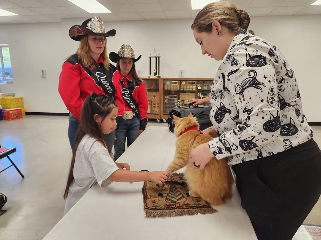 4-H Cat Show 