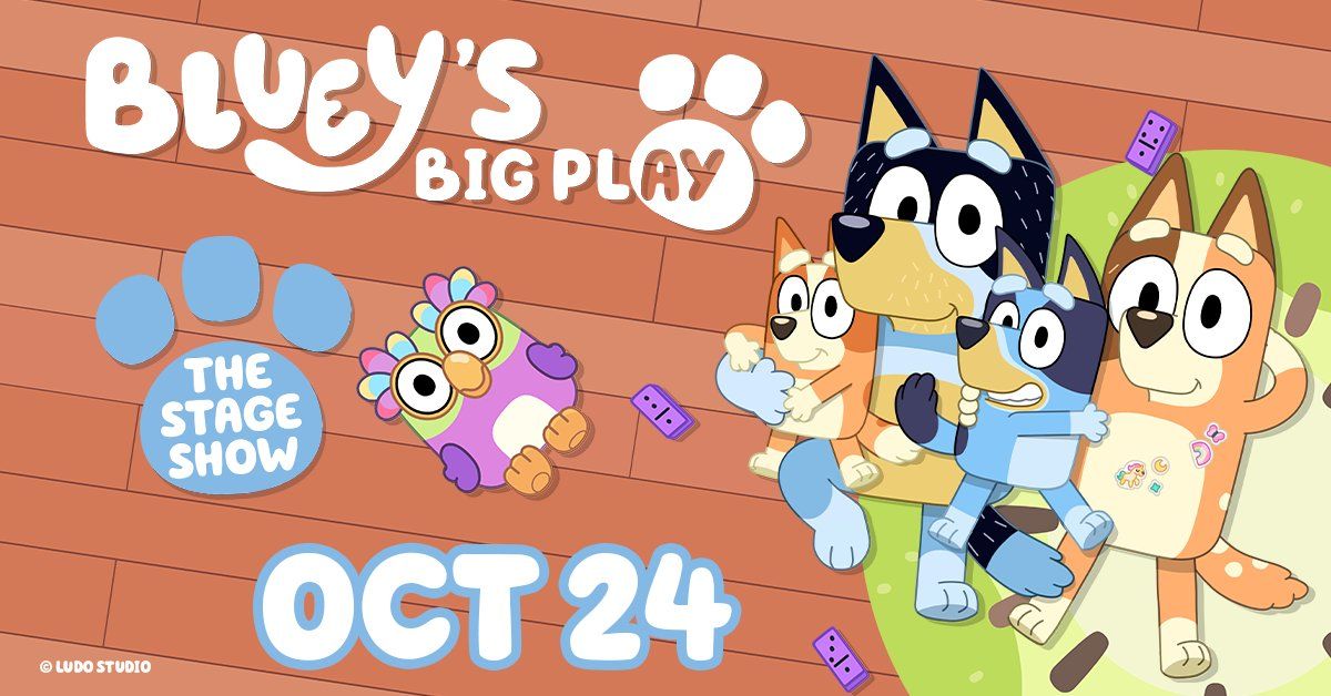 Bluey's Big Play