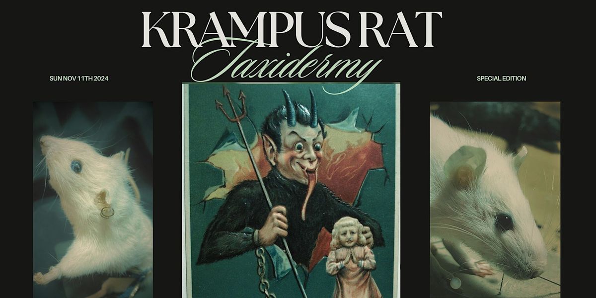 Special Edition: Krampus Rat Taxidermy Workshop