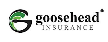FREE Headshots with Goosehead Insurance