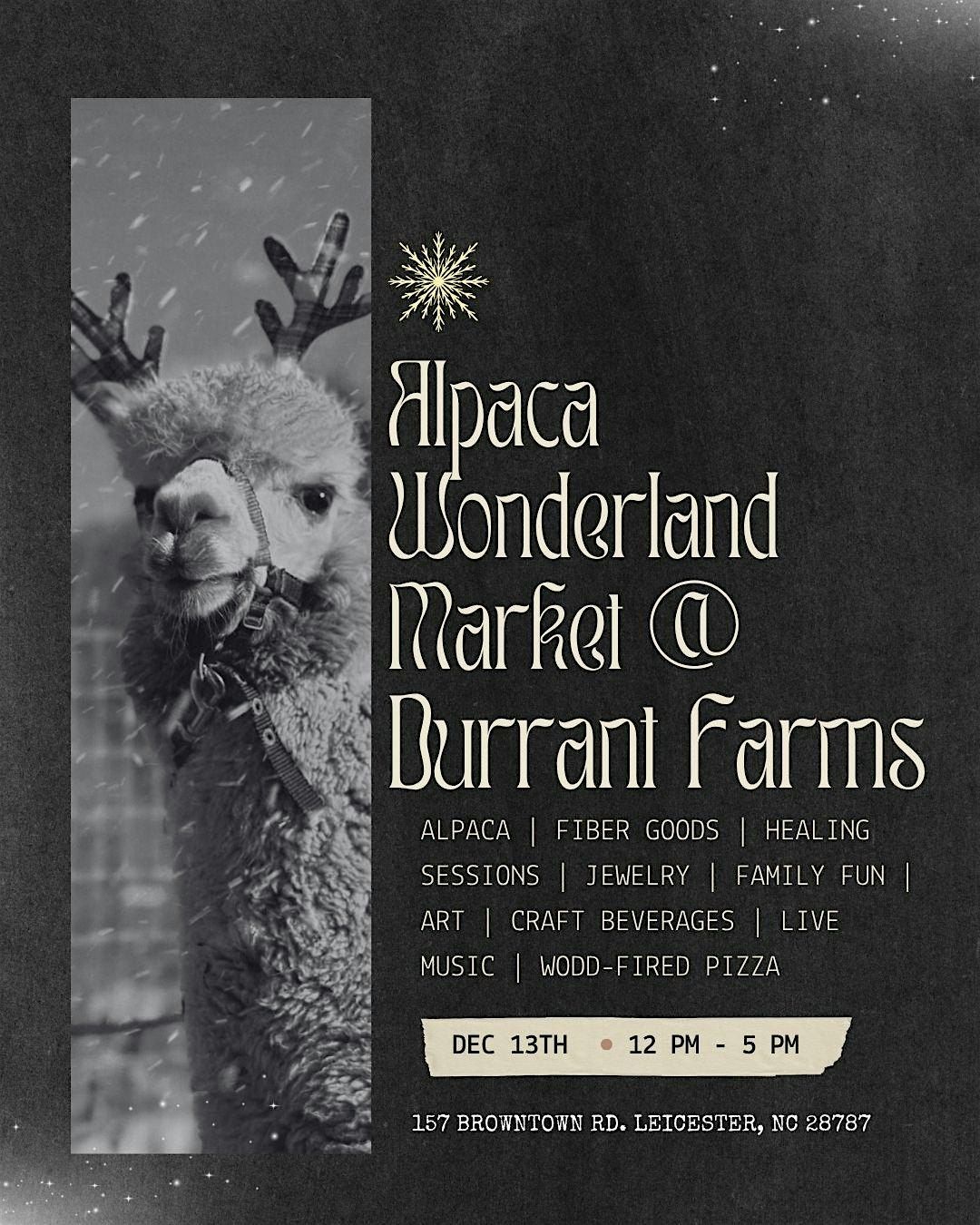 Alpaca Wonderland Winter Artisan Market