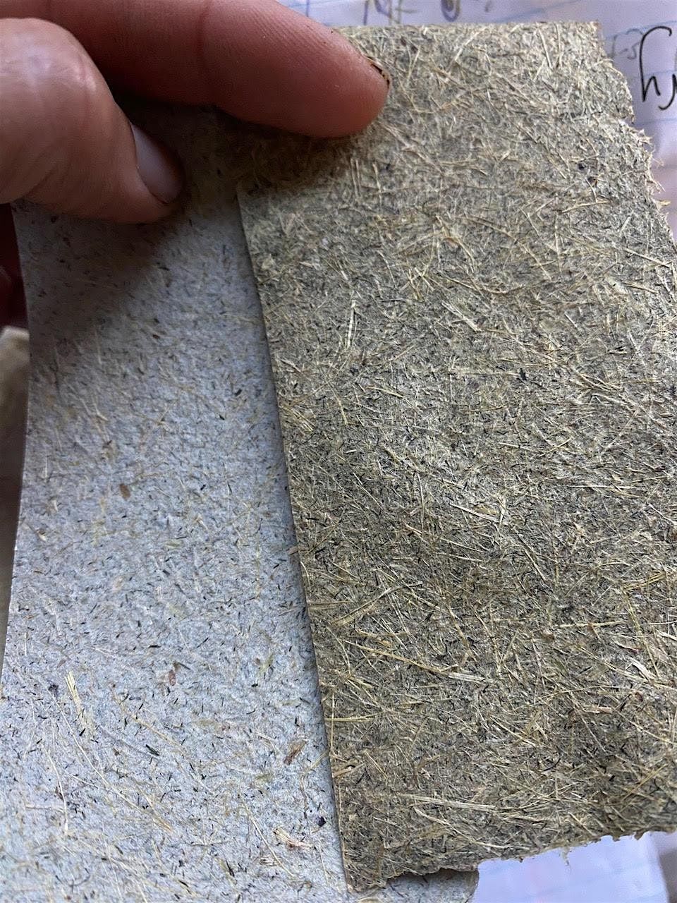 Papermaking with Invasive Species