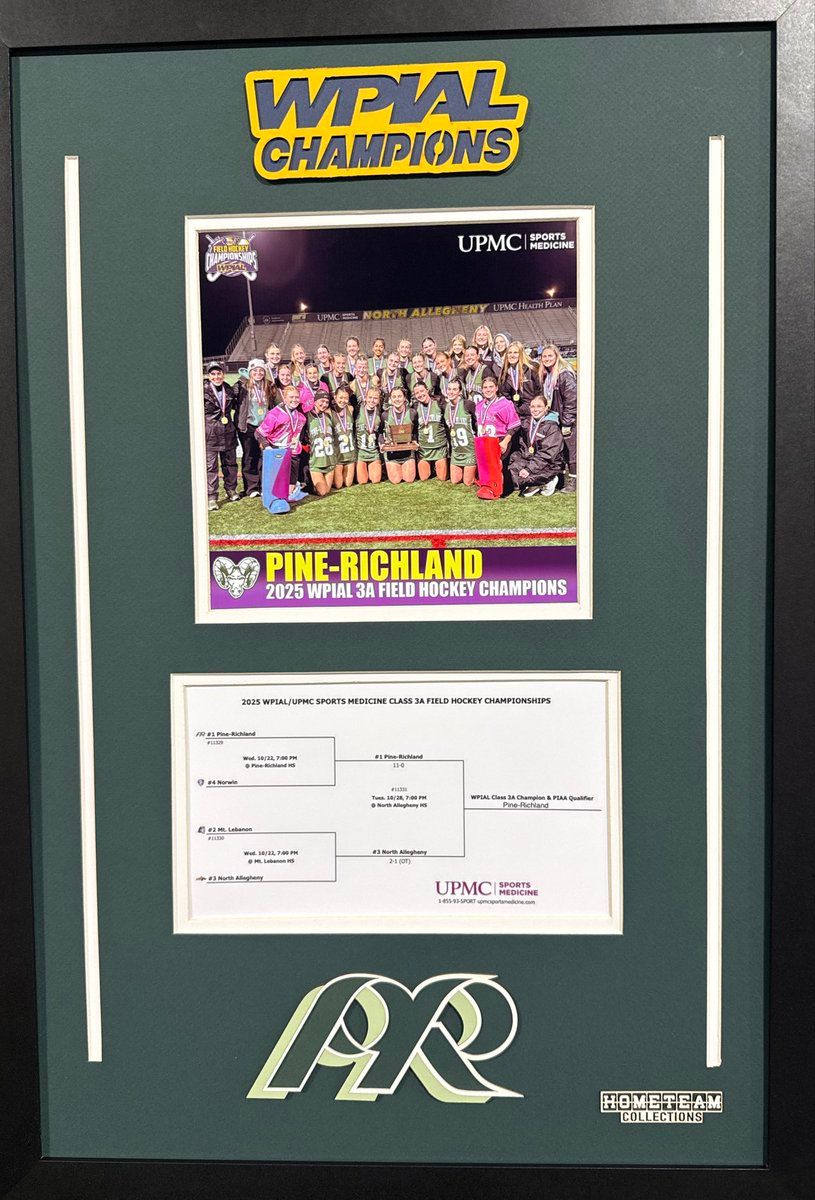 2025 WPIAL\/UPMC Sports Medicine Football Championships at Acrisure Stadium