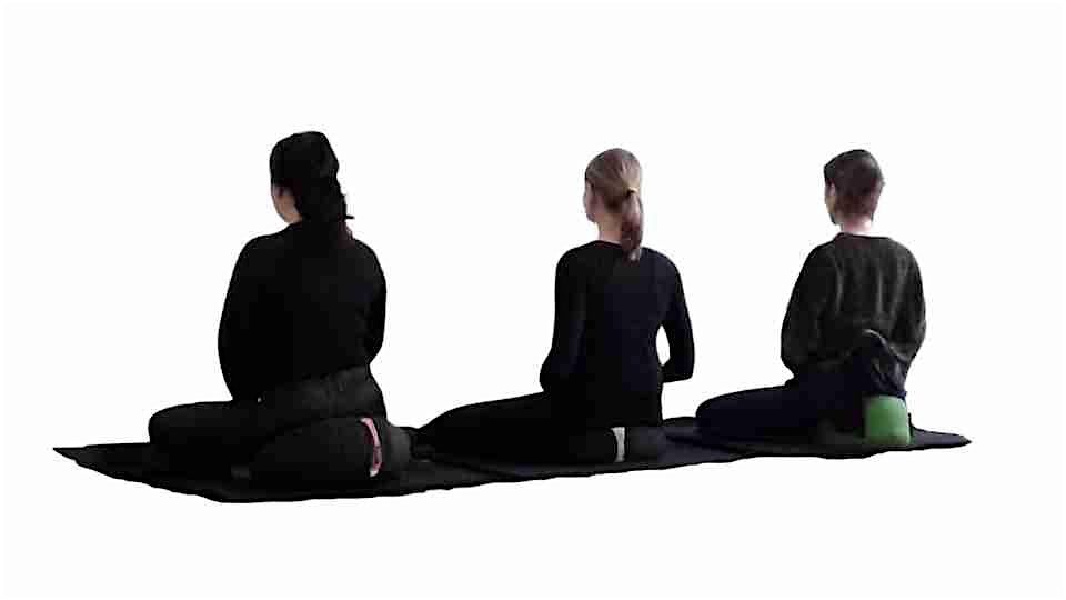Zazen, Meditaci\u00f3n Zen en grupo presencial y online