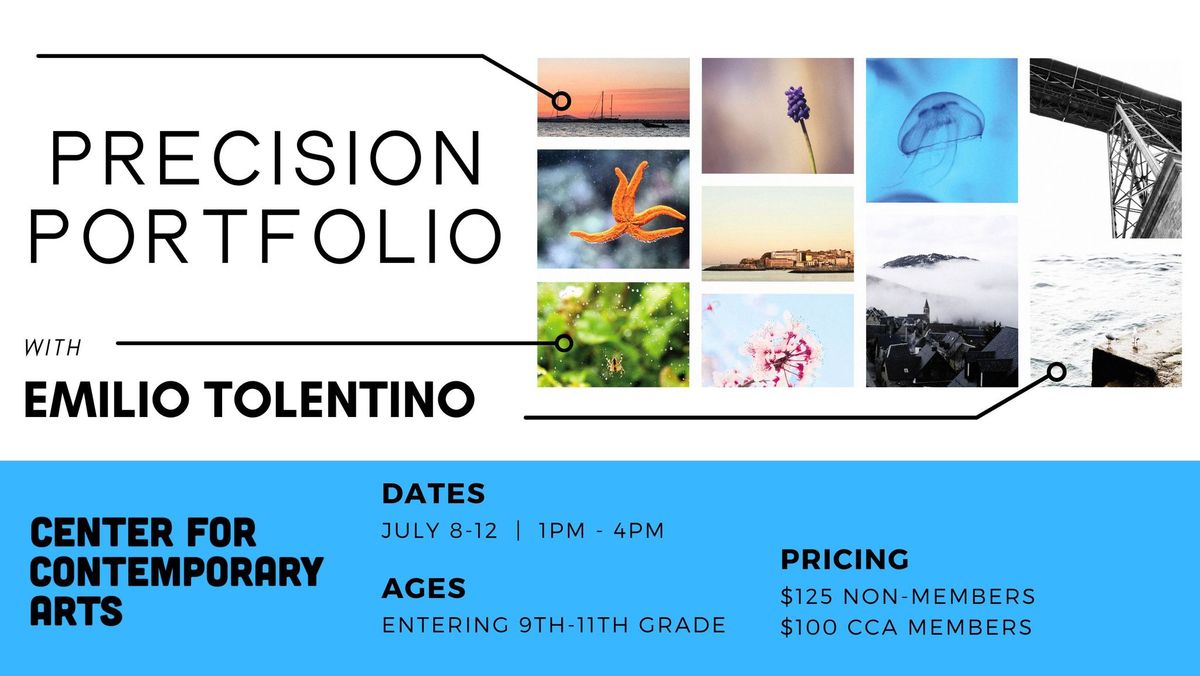 Precision Portfolio Camp