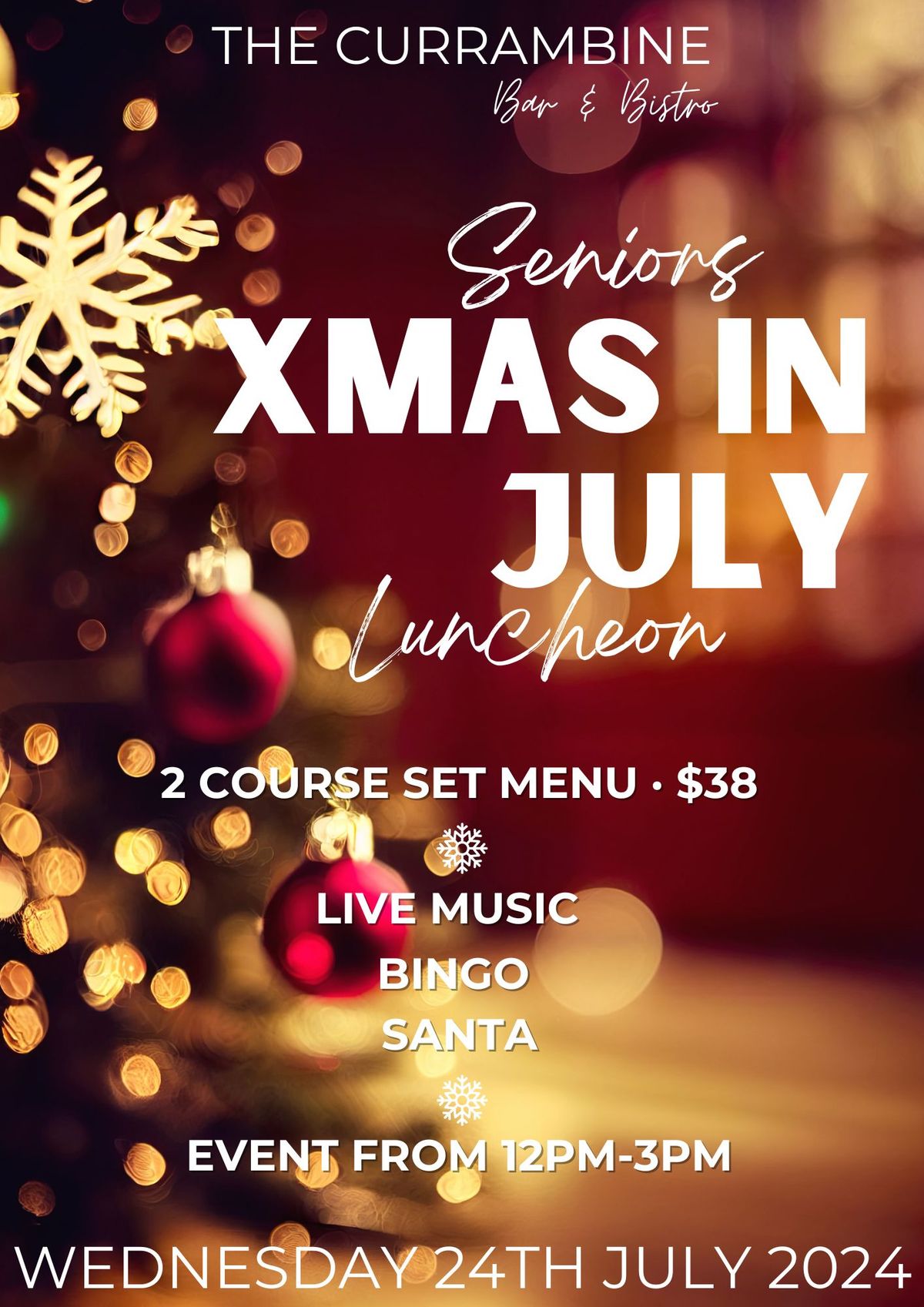 Seniors Christmas in July Luncheon