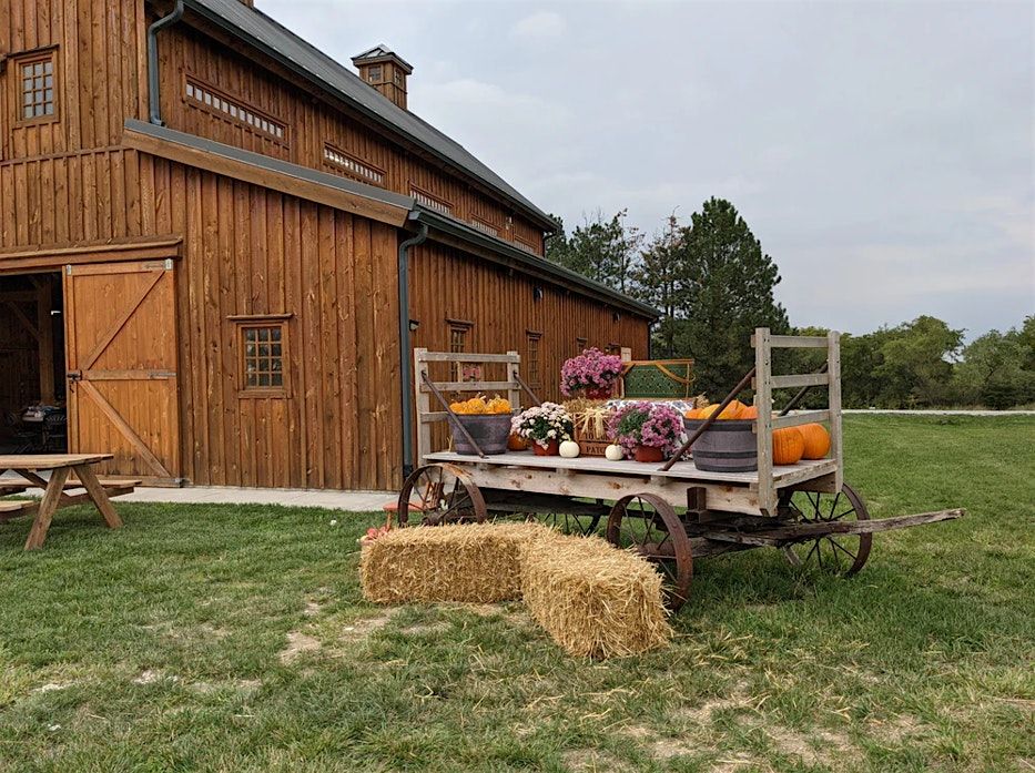 An Autumn Evening at Picnic Hill Orchard
