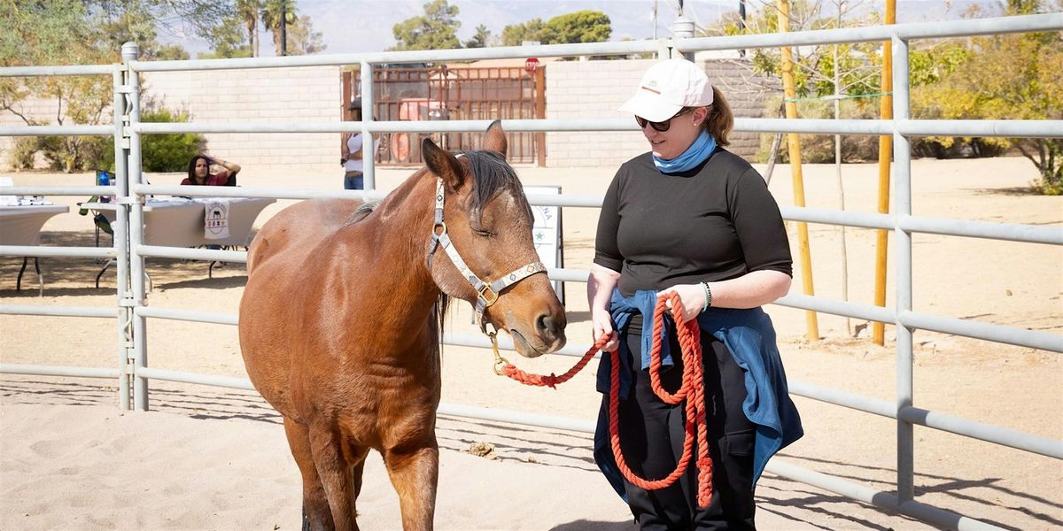 The STABLE Series: Equine Therapy Exercises & Arena EMDR