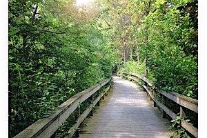 A Guided Walk through the Creekside Park
