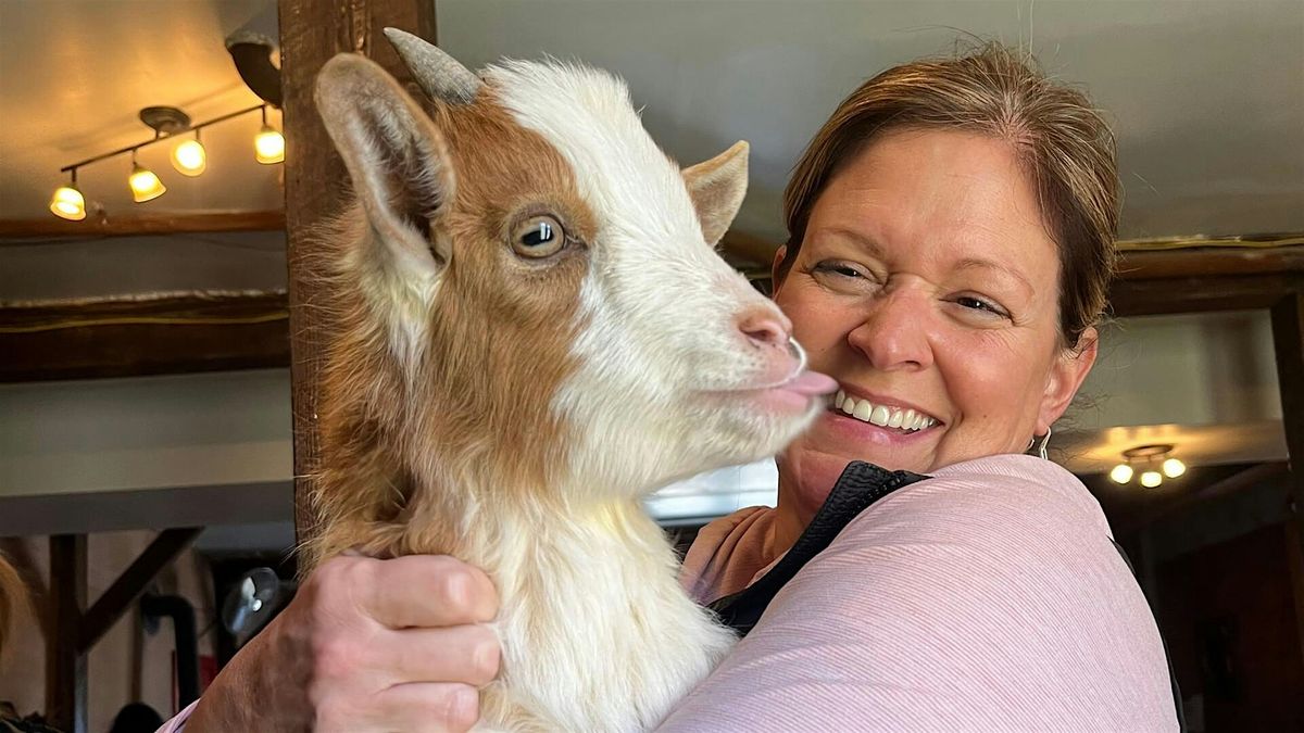 Goat Yoga in Asheville