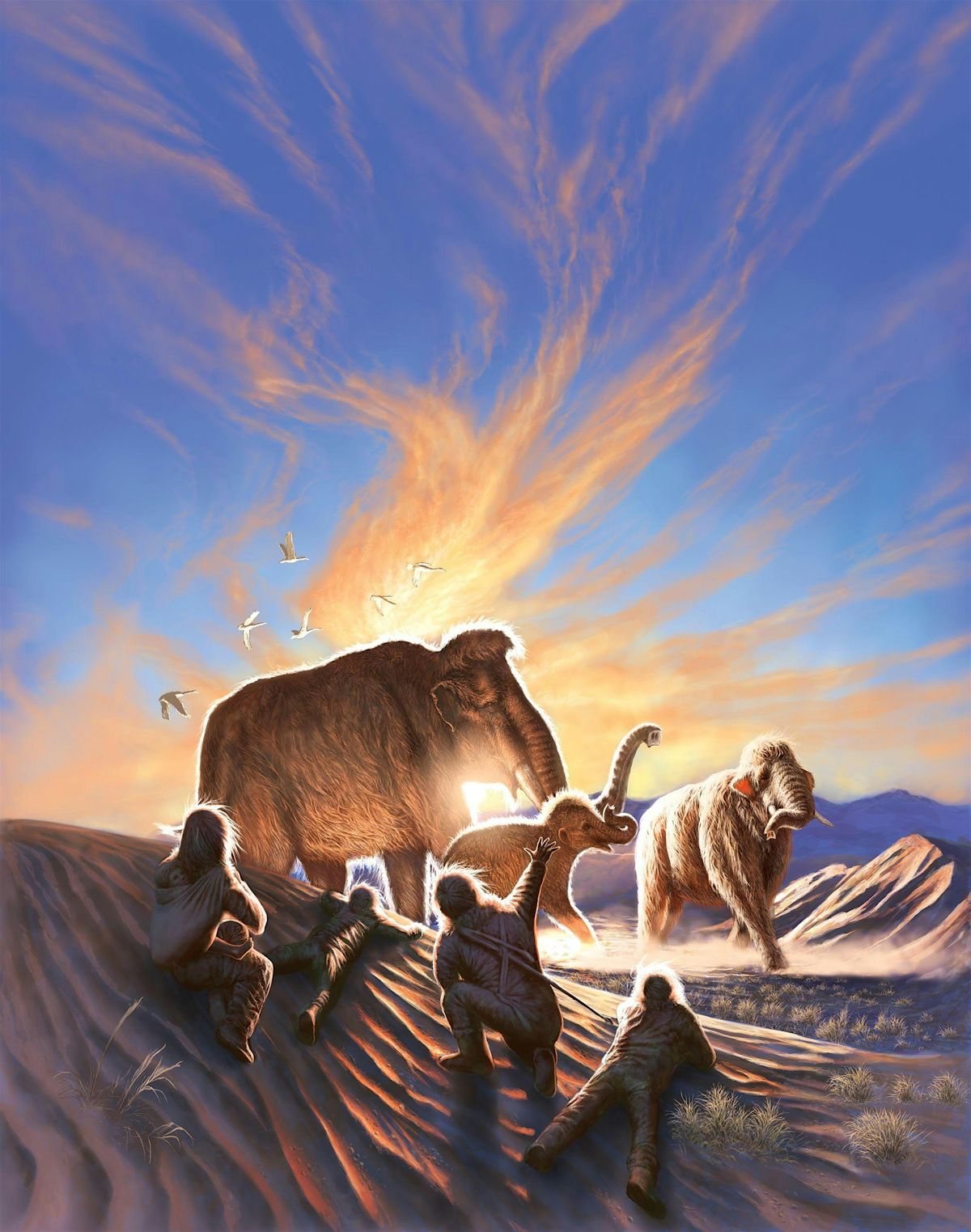 Hunting Mammoths in Alaska - ASA Calgary Lecture Series