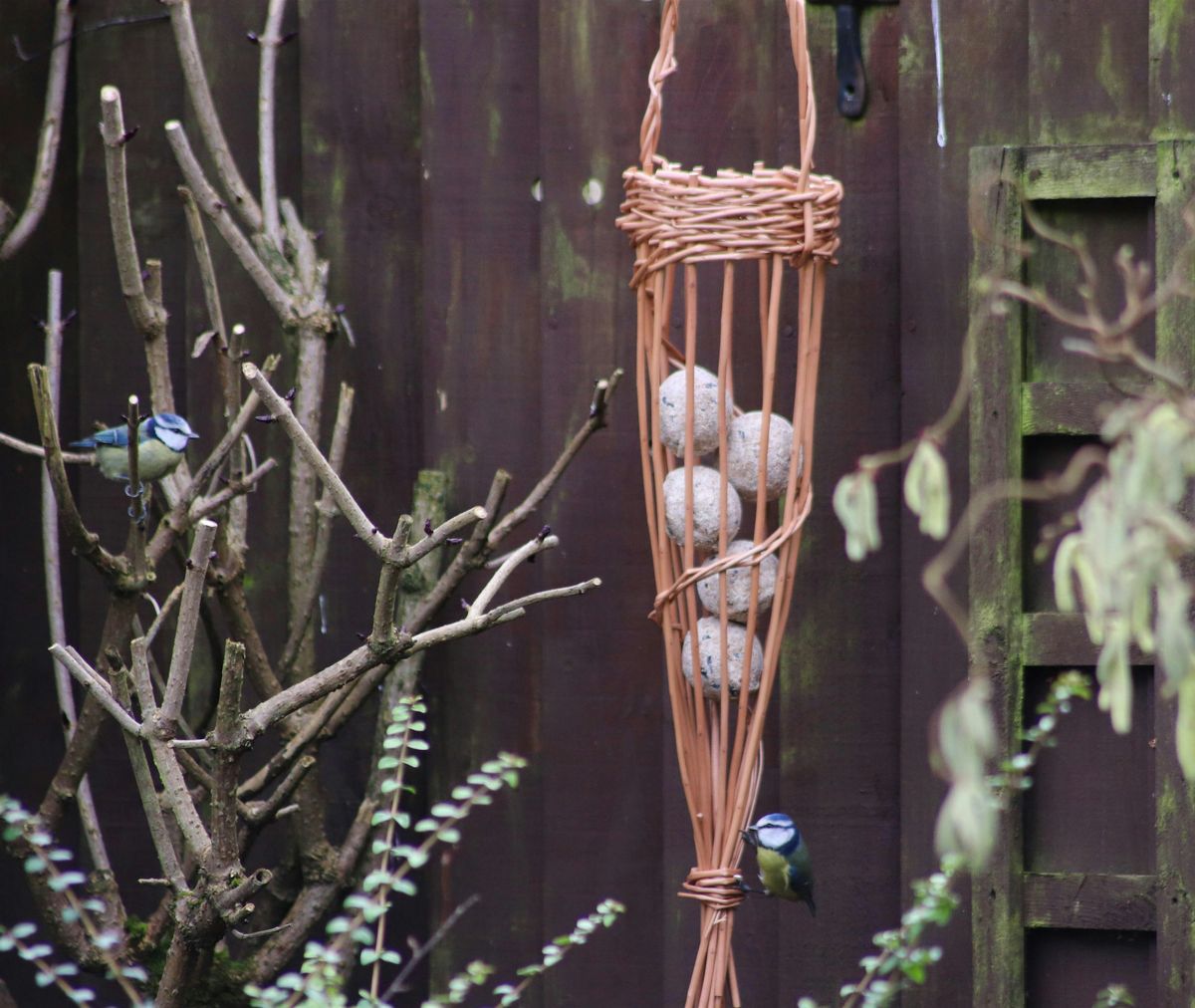 Willow Weaving Workshop: Make Your Own Bird Feeder