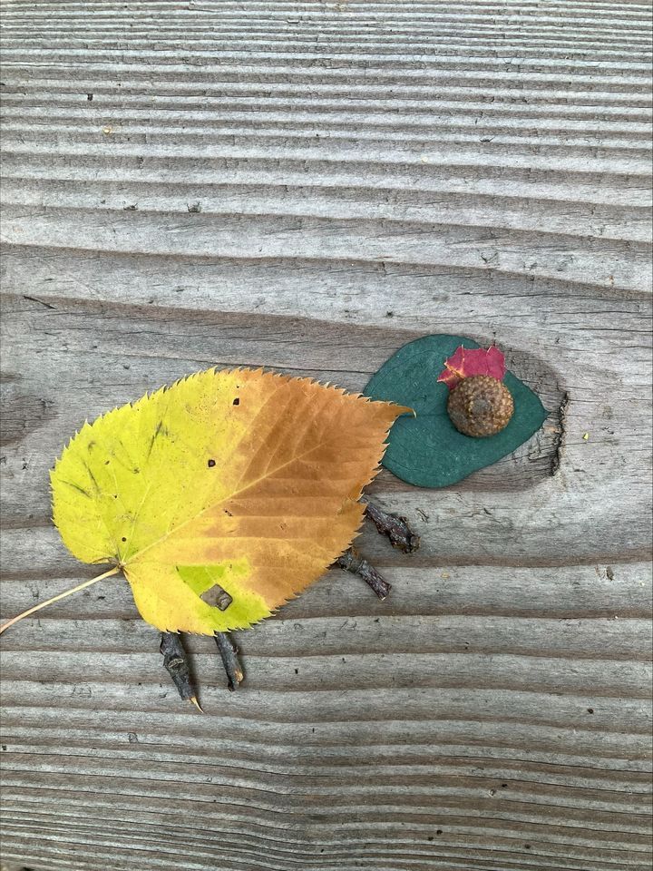 Fall Nature Storytime Hosted by West Bend Community Library