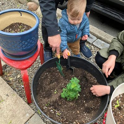 Sterling Street Garden Committee