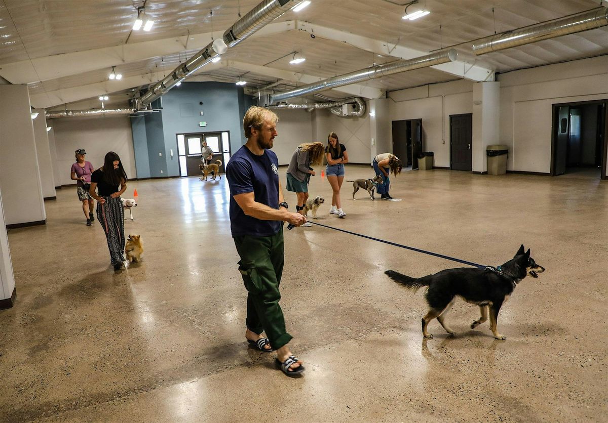 Eagle Valley Humane Society - Dog Training and Behavior Class