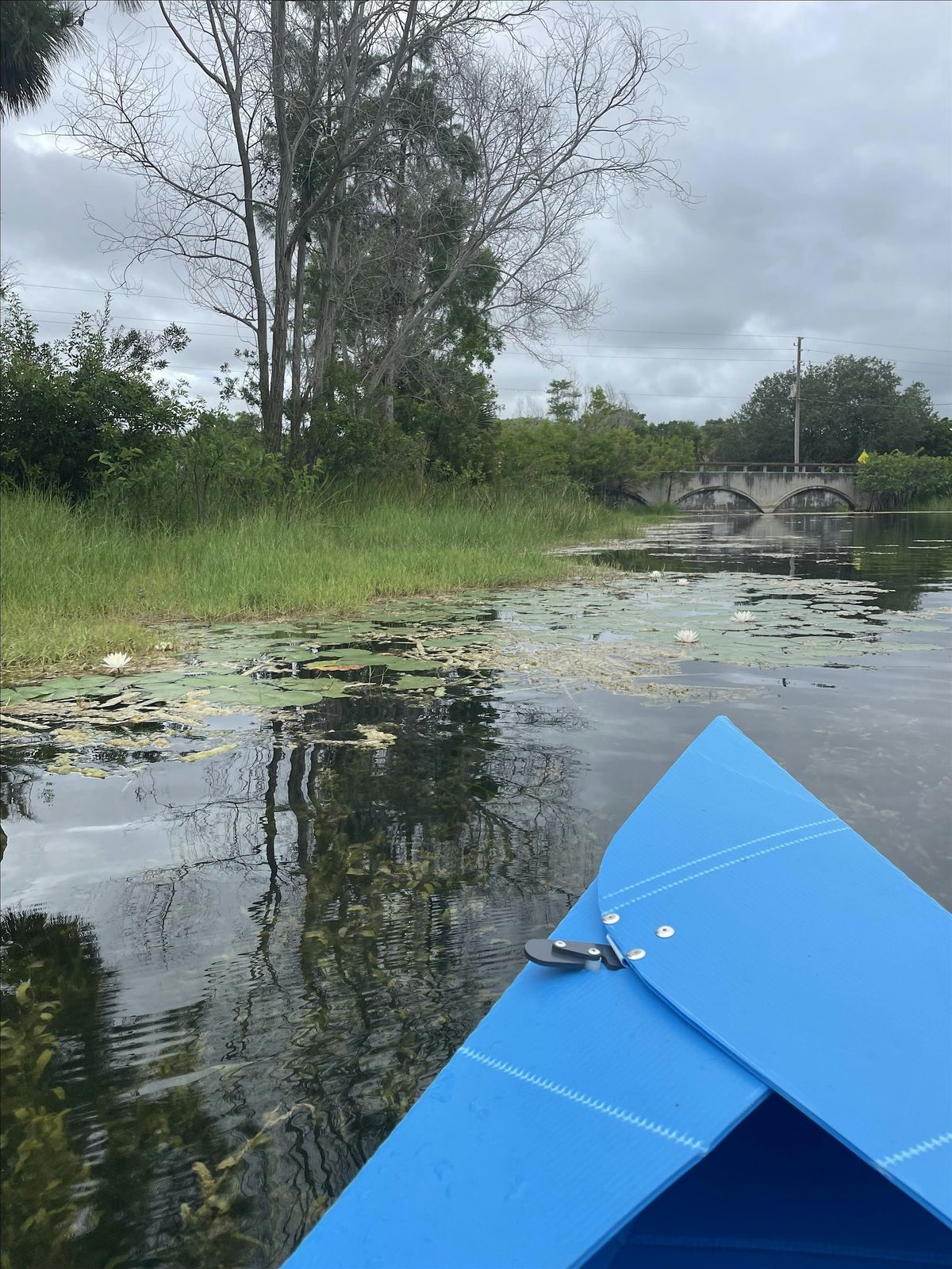 Guided kayak adventure Okeeheelee Park South