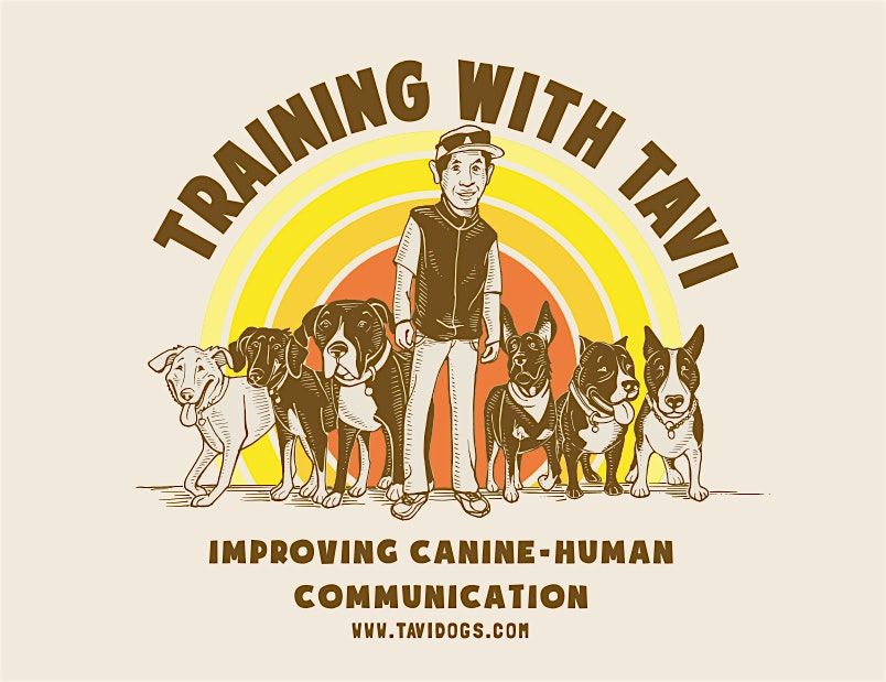 Learning to Love Vet and Groomer Visits