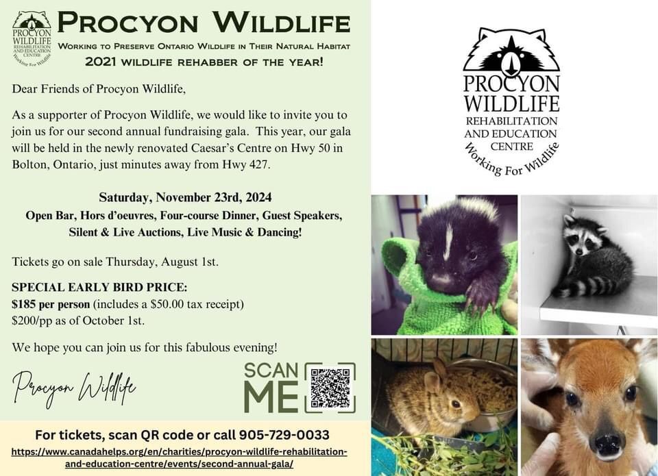 The Second Annual Procyon Wildlife Fundraising Gala