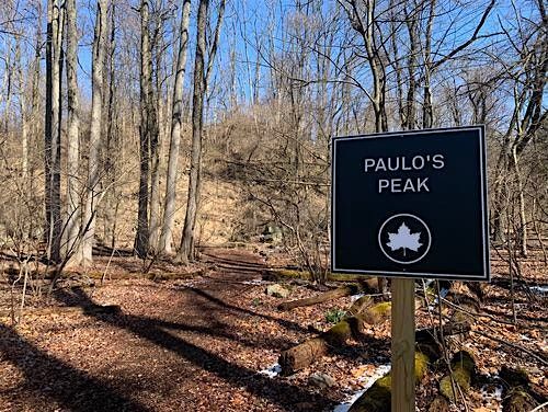 Start the New Year with A Nature Hike