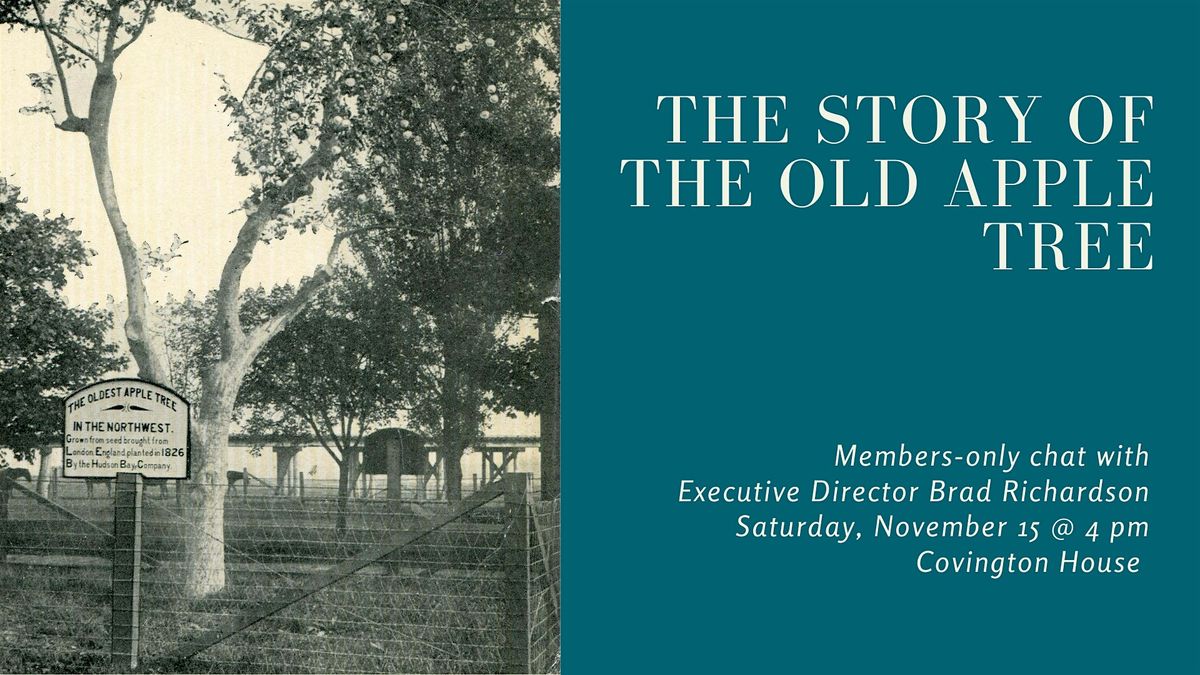MEMBERS TALK - The Story of the Old Apple Tree
