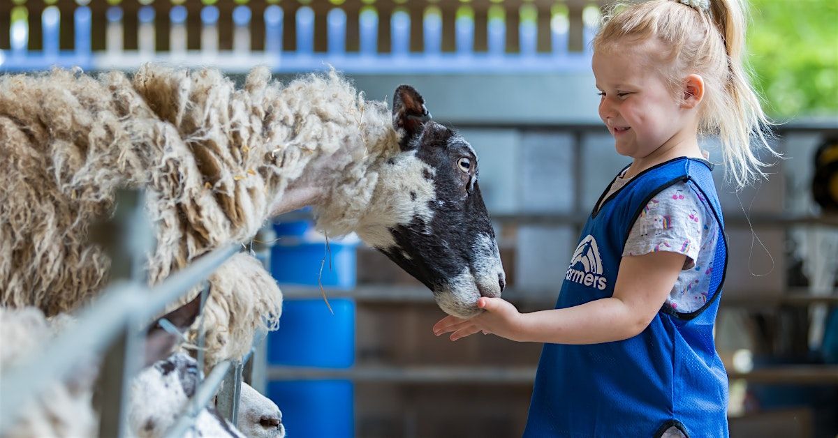 Thrift Farm Day Nursery & Pre-School Open Day - 1st November