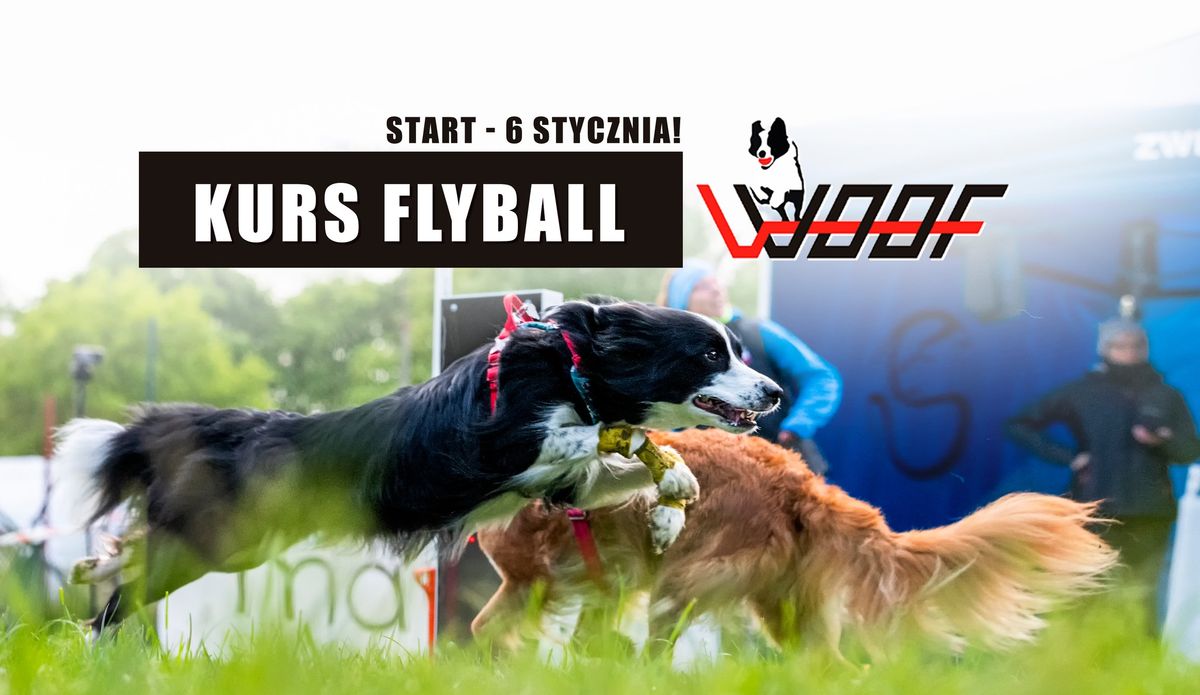 KURS FLYBALL - Trenuj razem z klubem WOOF!