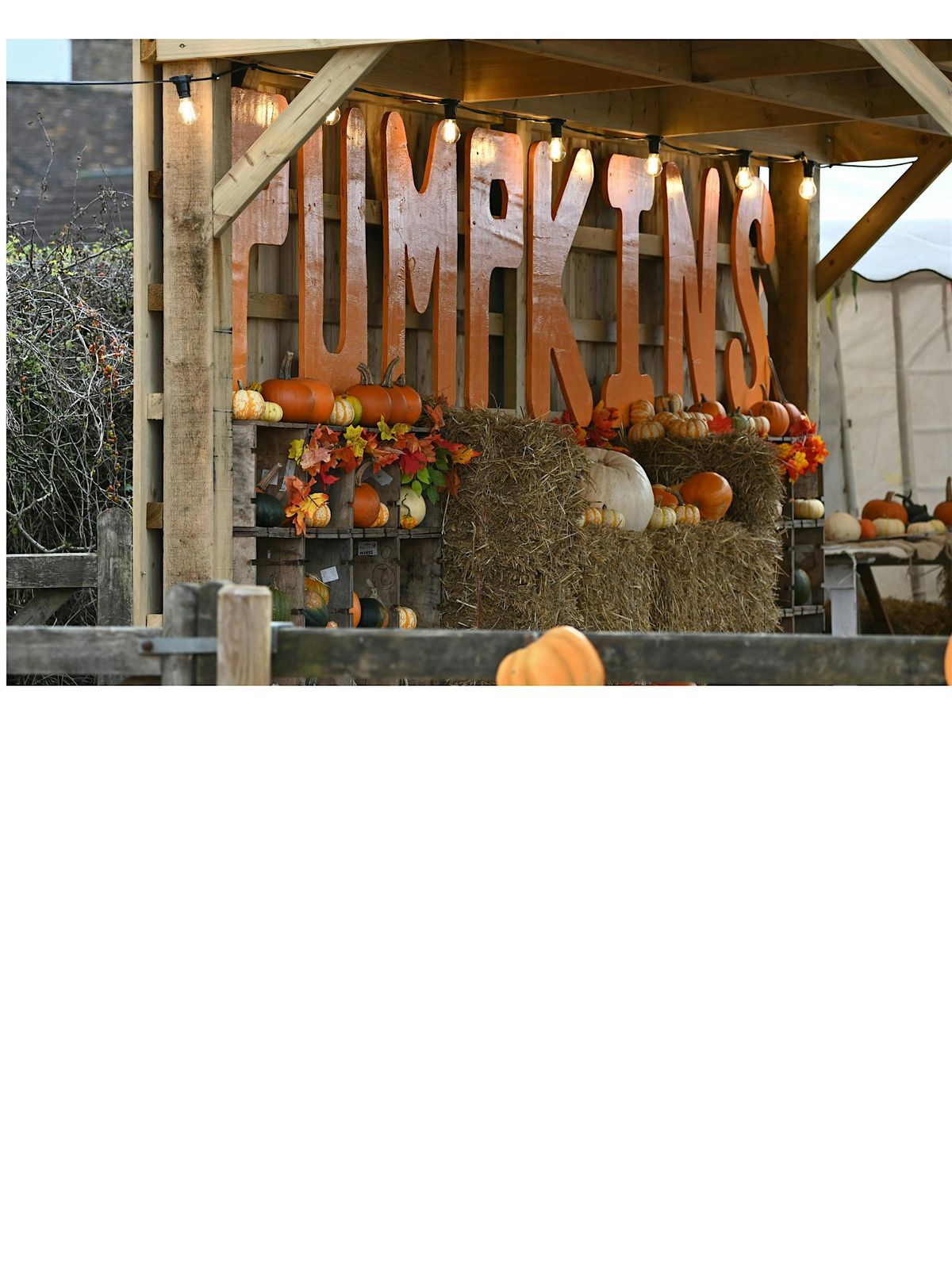 Free Winslow Twp. Fall Festival and Fire Prevention Event
