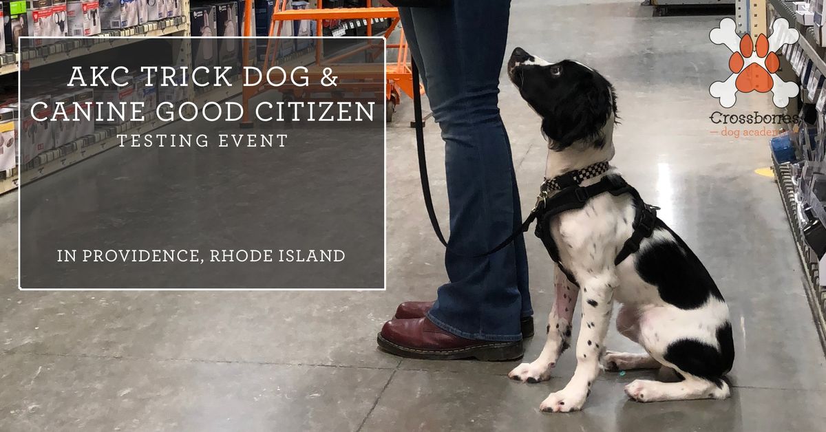 AKC Canine Good Citizen (CGC\/CGCA\/CGCU) & Trick Dog Testing!