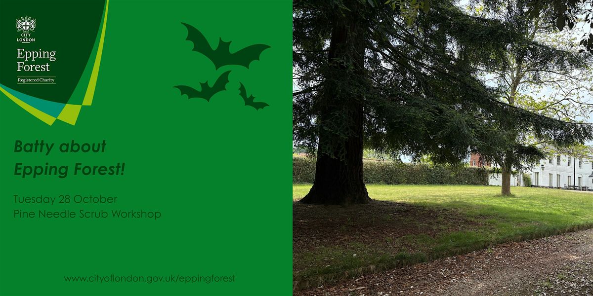Pine Needle Scrub Family Workshop - 10:30am