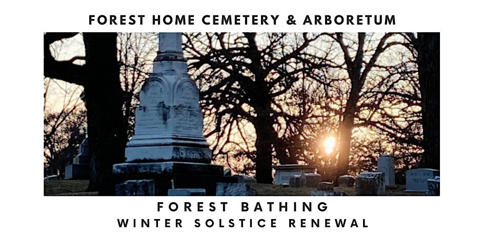 Forest Bathing: Winter Solstice Renewal