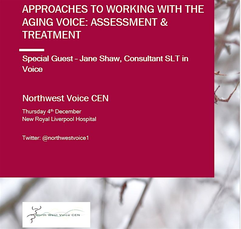 APPROACHES TO WORKING WITH THE AGING VOICE: ASSESSMENT & TREATMENT