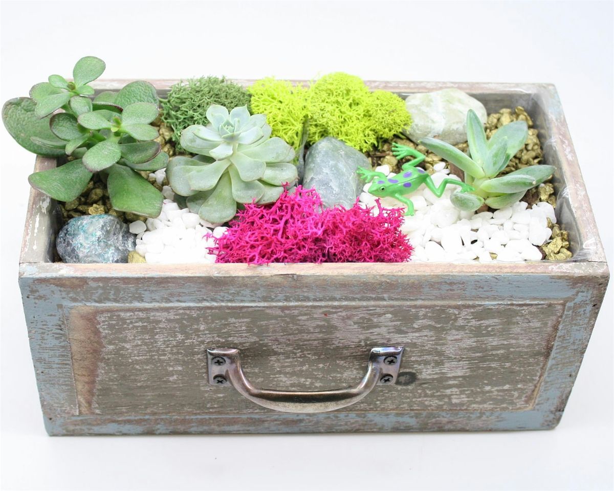 Family Plant Party: Make a Succulent Terrarium