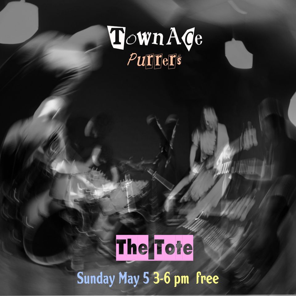 Town Ace at The Tote front bar with Purrers - Free -