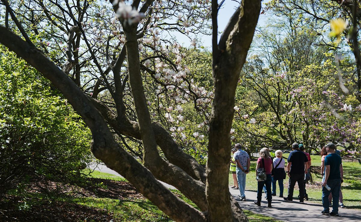 Flower City Flora Walking Tour at the Rochester Lilac Festival