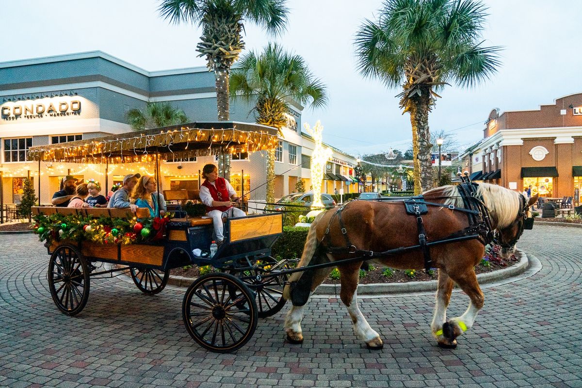 Holiday Horse-Drawn Carriage Rides