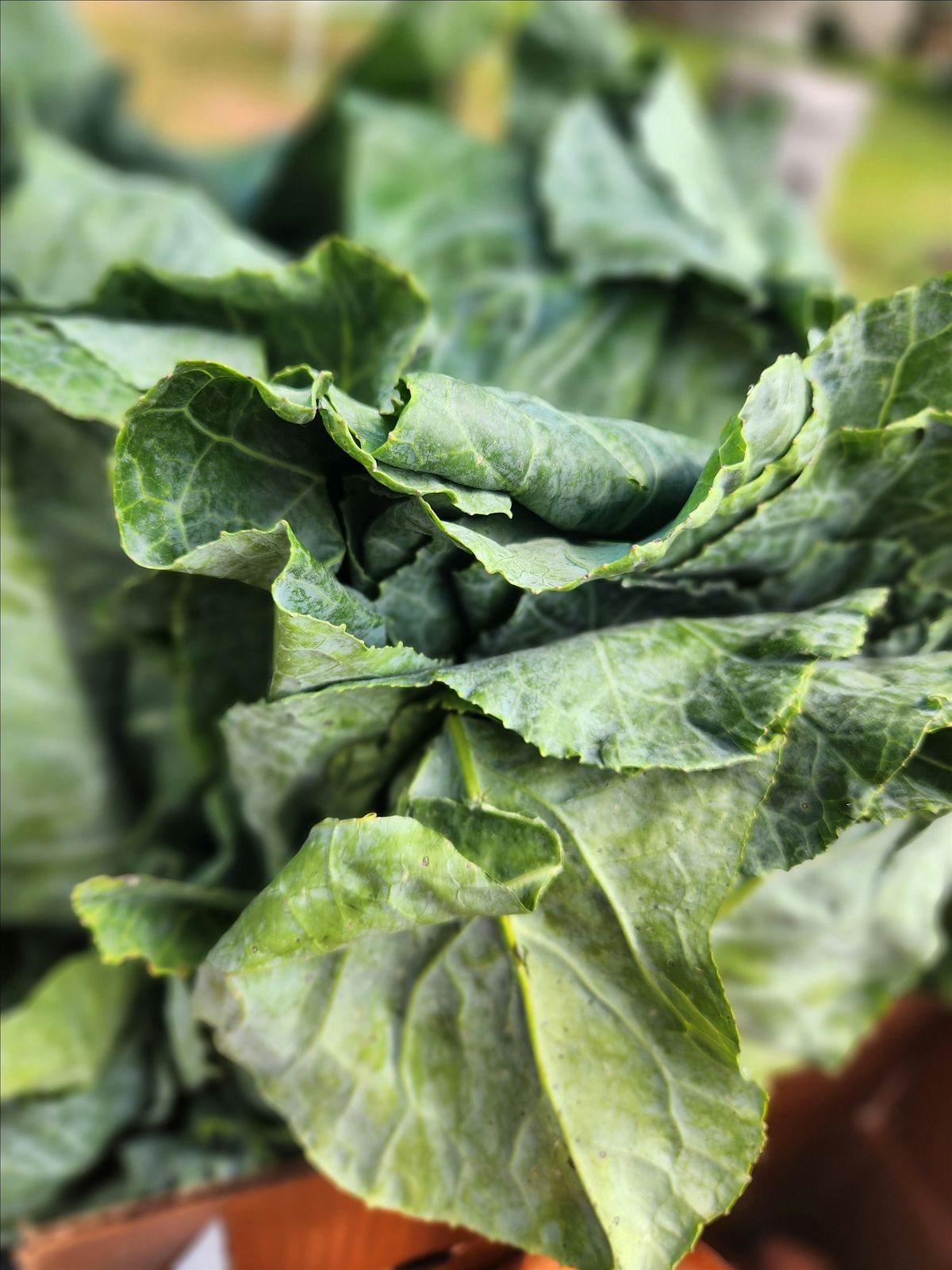 West Georgia Farmers' Cooperative Annual Dinner and Fundraiser