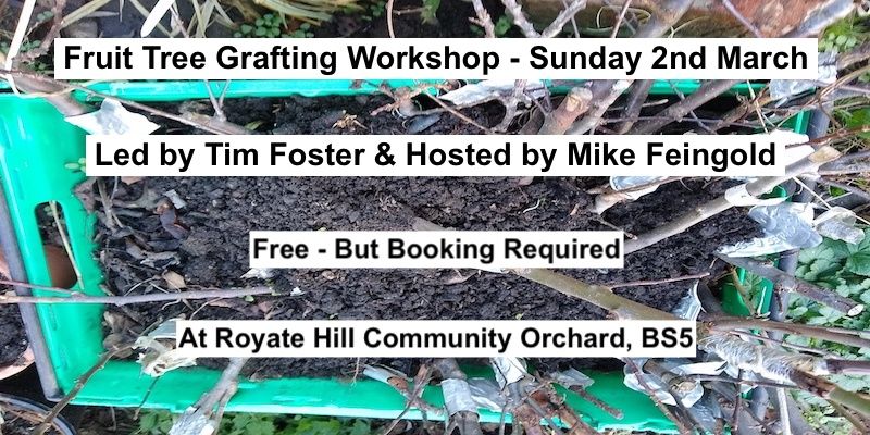 Fruit Tree Grafting Workshop