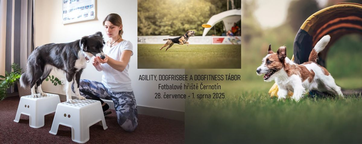 Agility, dogfrisbee a dogfitness t\u00e1bor \u010cernot\u00edn