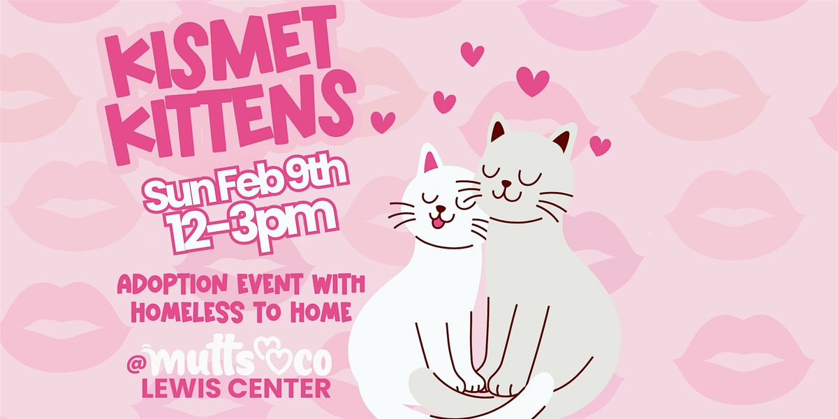 Kismet Kittens Adoption Event with Homeless to Home (Lewis Center)