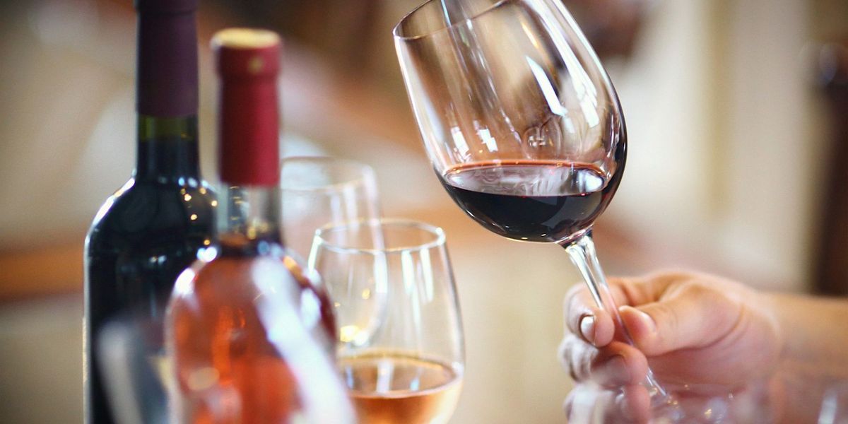 Savvy Sips: Explore Budget-Friendly Wines with our Sommelier