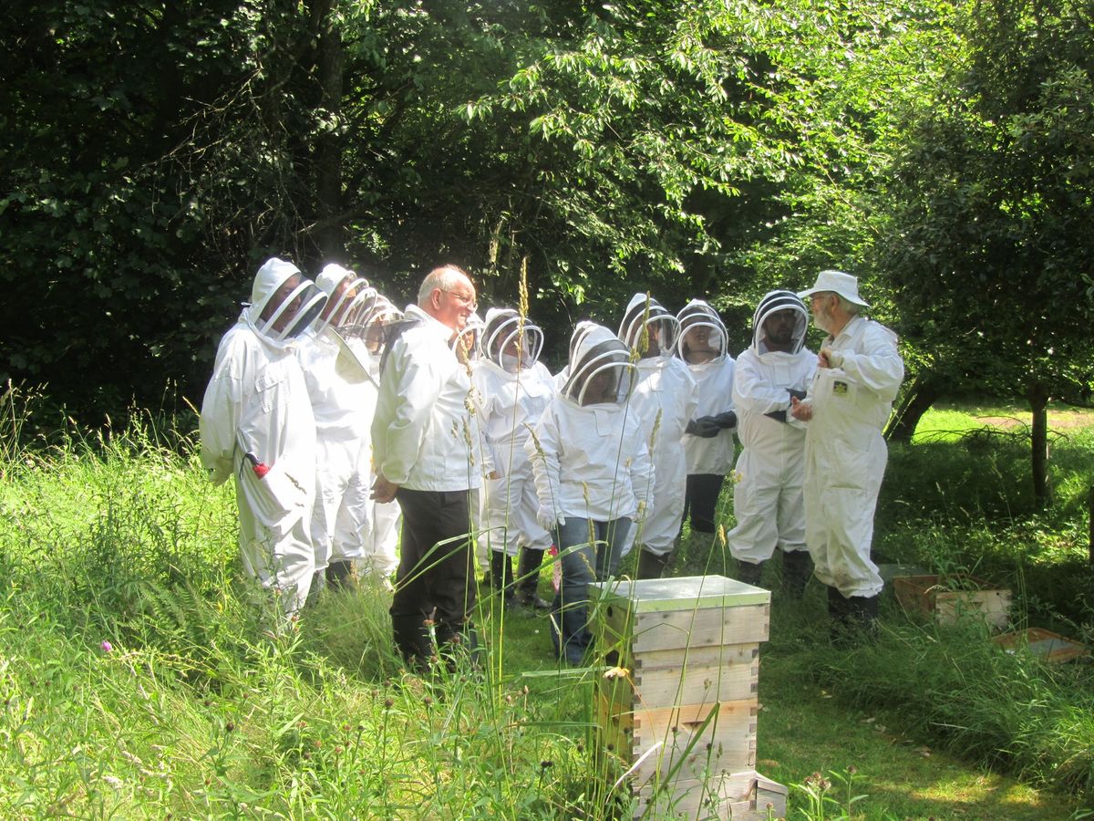 Introduction to Beekeeping