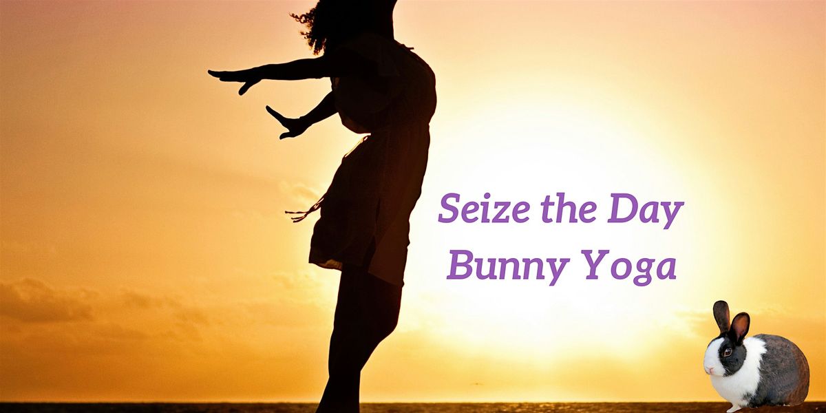 Seize the Day Bunny Yoga