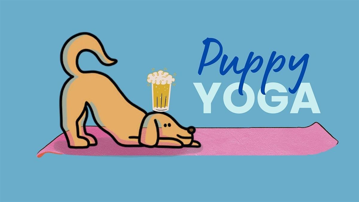 Puppy Yoga @ True North Ale Co.