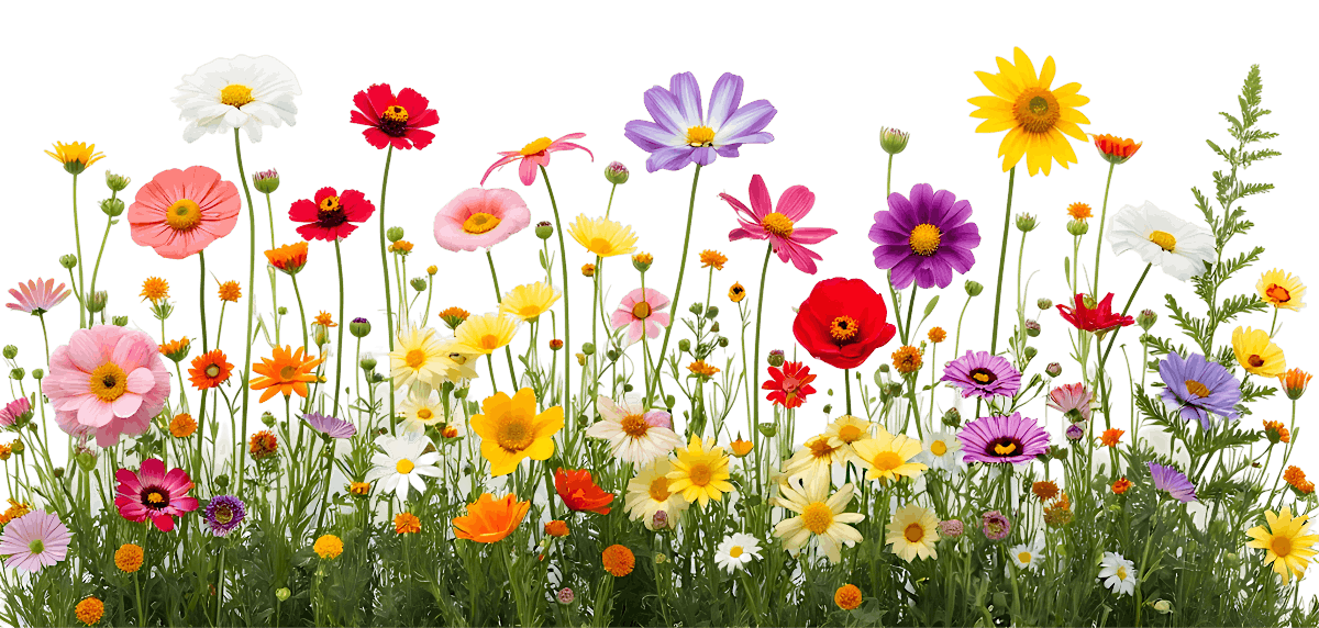 Spring Clean Your Finances - Workshop