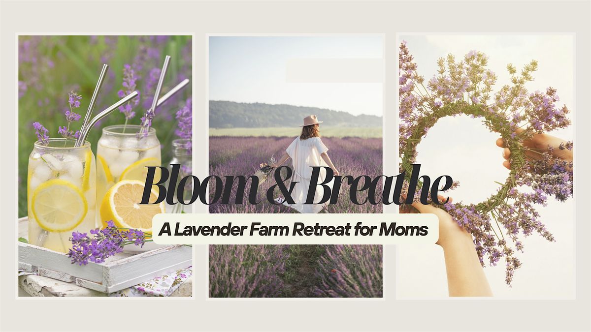 Bloom & Breathe: A Lavender Farm Retreat for Moms