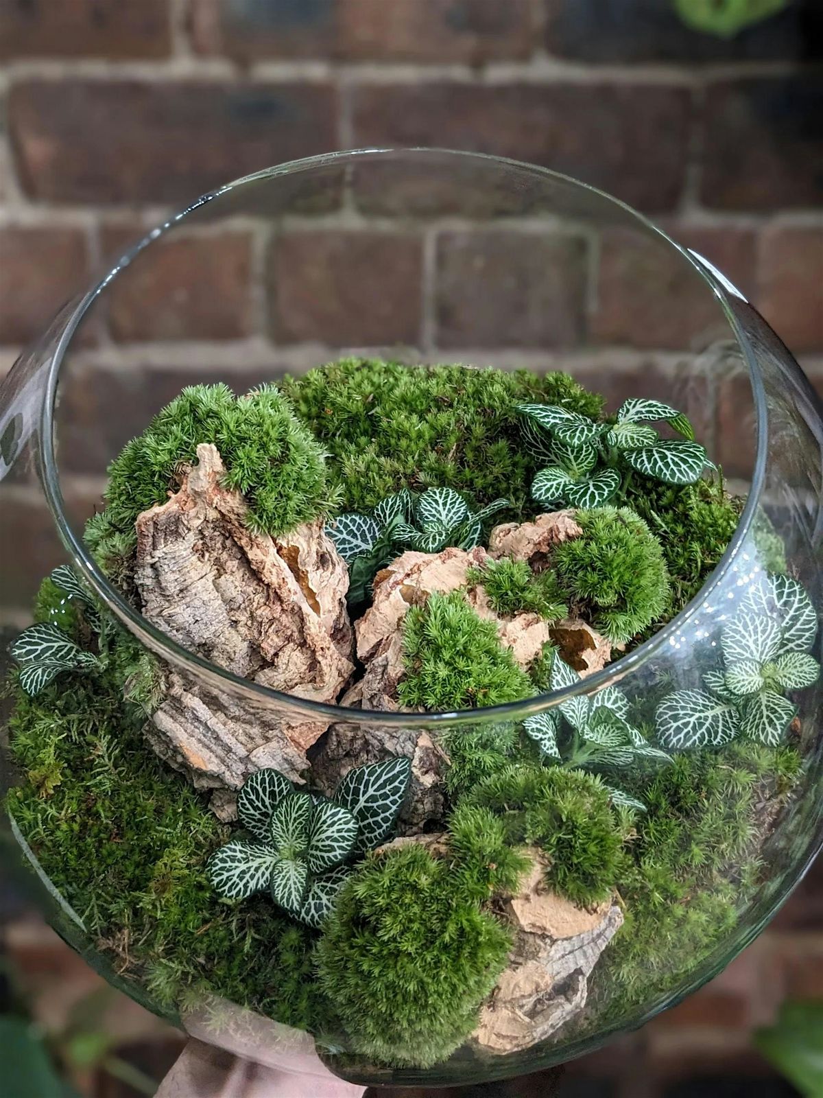 Couples Terrarium Workshop by Glasgow PlantMama