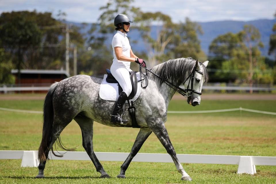 Members Only Dressage and Jump Day